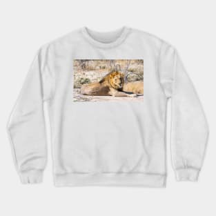 Lion in the sun. Crewneck Sweatshirt